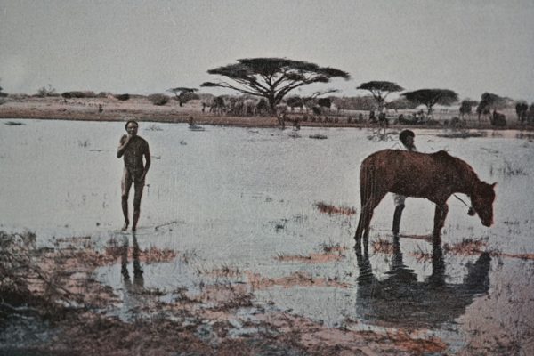 POTOCKI Notatki Mysliwskie Z Afryki: Somali.
