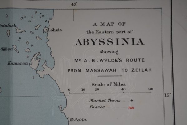 WYLDE Modern Abyssinia