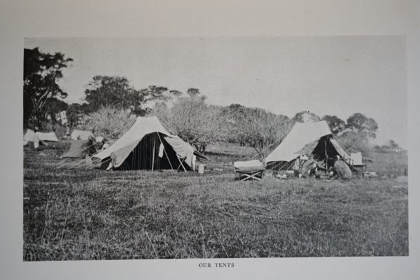 HERBERT Two dianas in Somaliland.