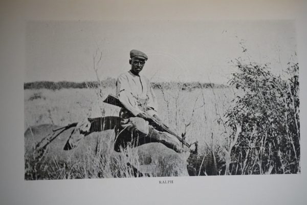 HERBERT Two dianas in Somaliland.