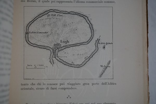 VANNUTELLI & CITERNI L'Omo.