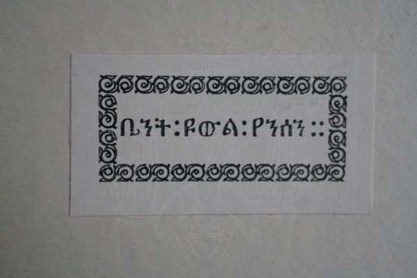 STIGAND To Abyssinia through an Unknown Land