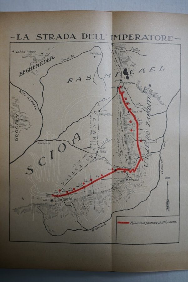 CIPOLLA In Etiopia.