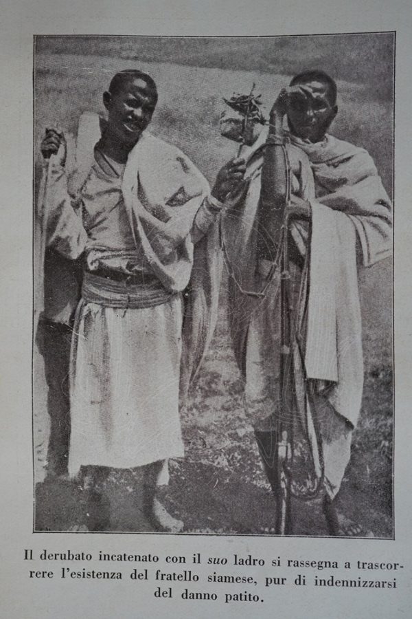 CIPOLLA In Etiopia.