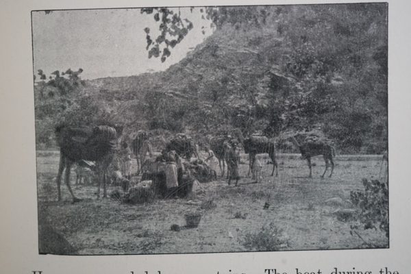 PEEL Somaliland.