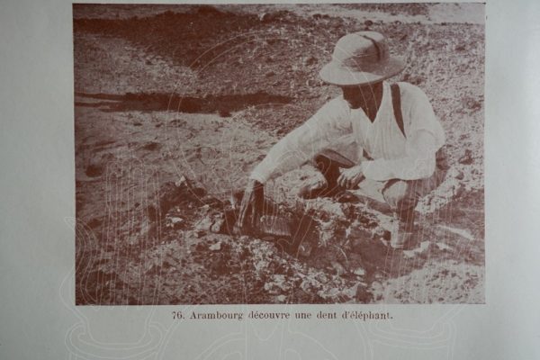 ANSTEIN A travers l'Abyssinie