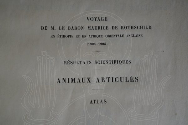 ROTHSCHILD Voyage [...] en Éthiopie et en Afrique orientale Anglaise (1904-1905).