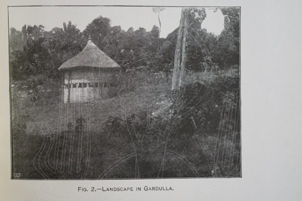 NEUMANN From the Somali Coast through Ethiopia to the Sudan.