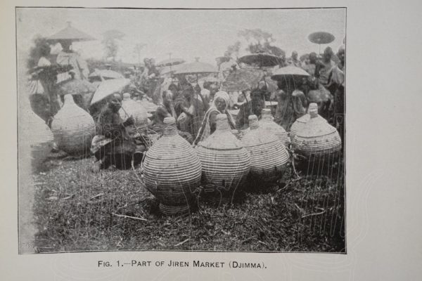 NEUMANN From the Somali Coast through Ethiopia to the Sudan.