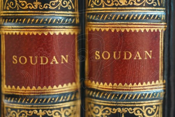 SPEEDY My wanderings in the Soudan.