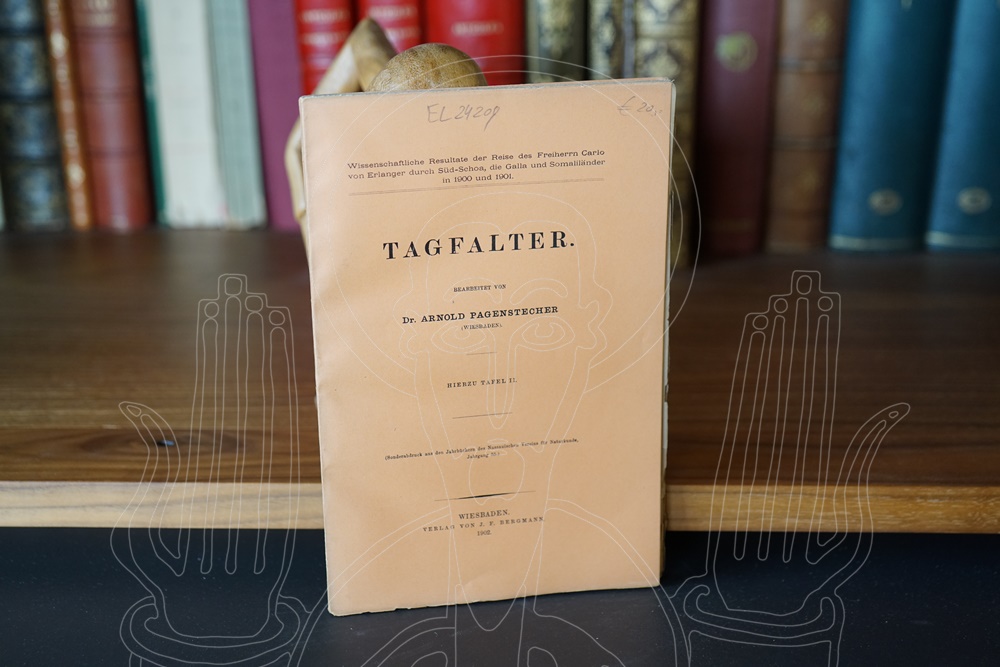 Tagfallter (Wissenschaftliche Resultate der Reise der Freiherrn Carlo von Erlanger durch Süd-Schoa, die Galla und Somaliländer in 1900 und 1901