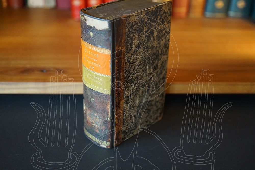 Vergleichende Erdkunde von Arabien.