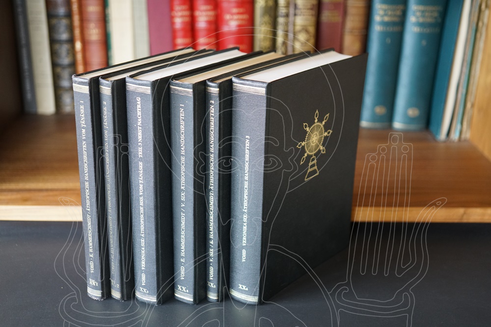 Äthiopische Handschriften vom Tänäsee [i.a]. Verzeichnis der orientalischen Handschriften in Deutschland