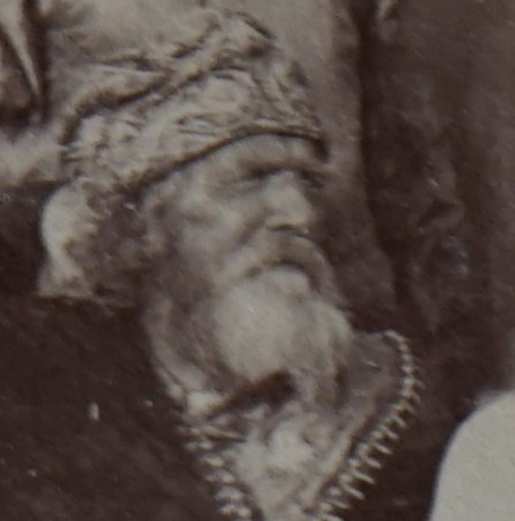Schimper1868