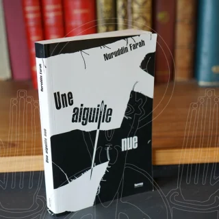 Une aiguille nue.